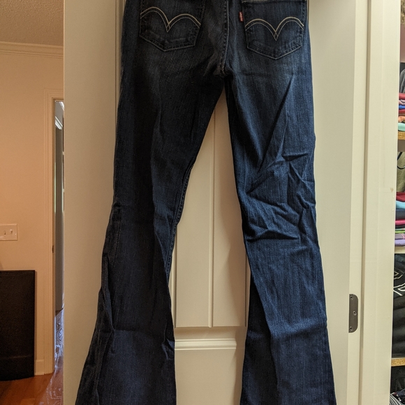 Levi - Picture 2 of 2